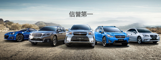無(wú)紡布，無(wú)紡布廠家，彈力無(wú)紡布，紡粘無(wú)紡布，東陽(yáng)市萊馳環(huán)保科技有限公司